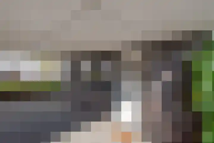Mieogvaart 25 Den Haag thumbnail 5