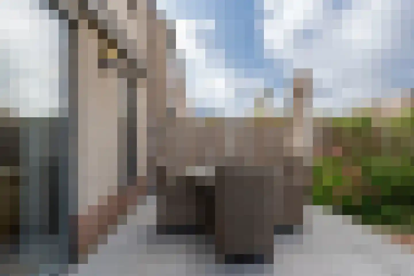 Miep Gieslaan 15 Pijnacker thumbnail 18