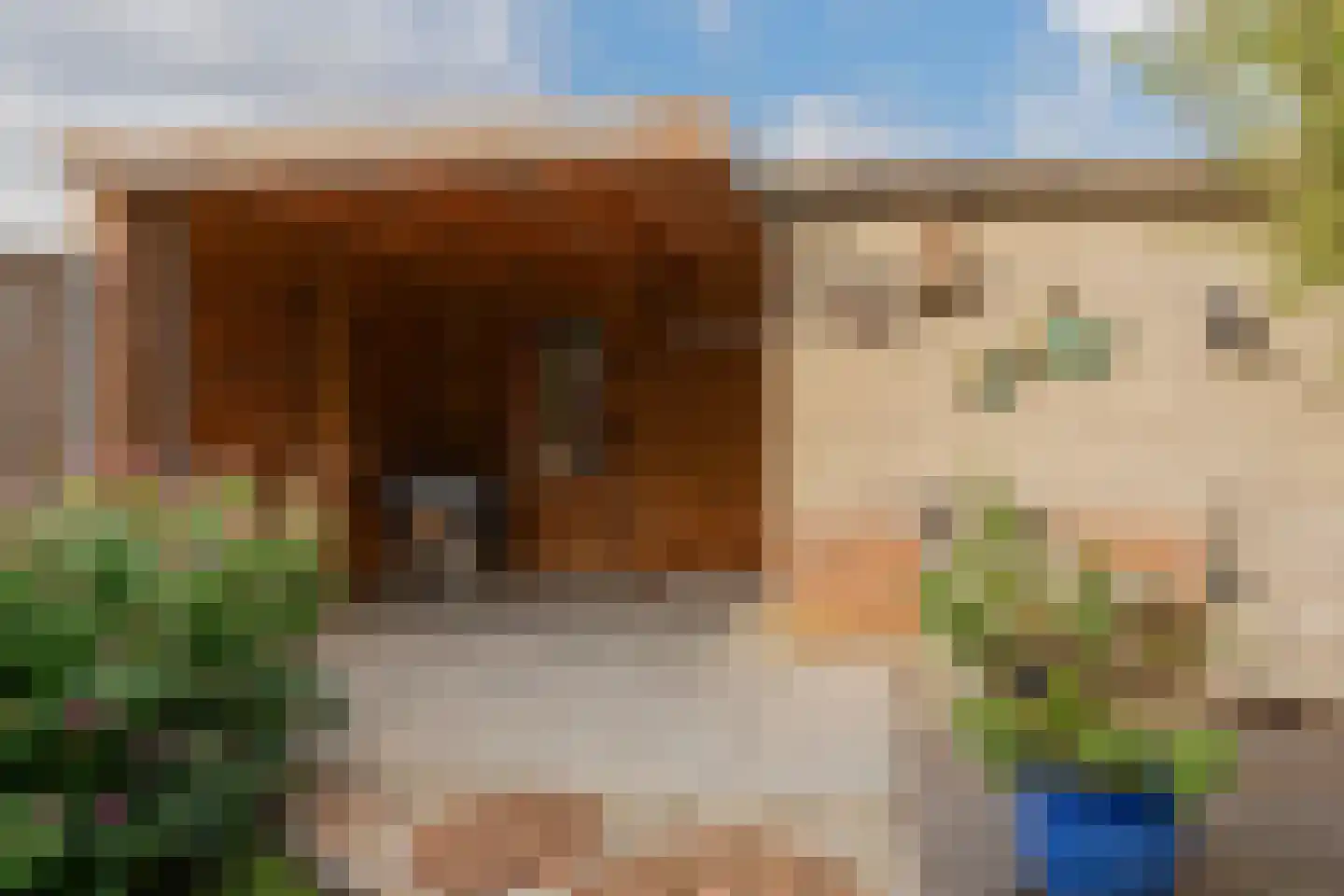 Miep Gieslaan 15 Pijnacker thumbnail 19