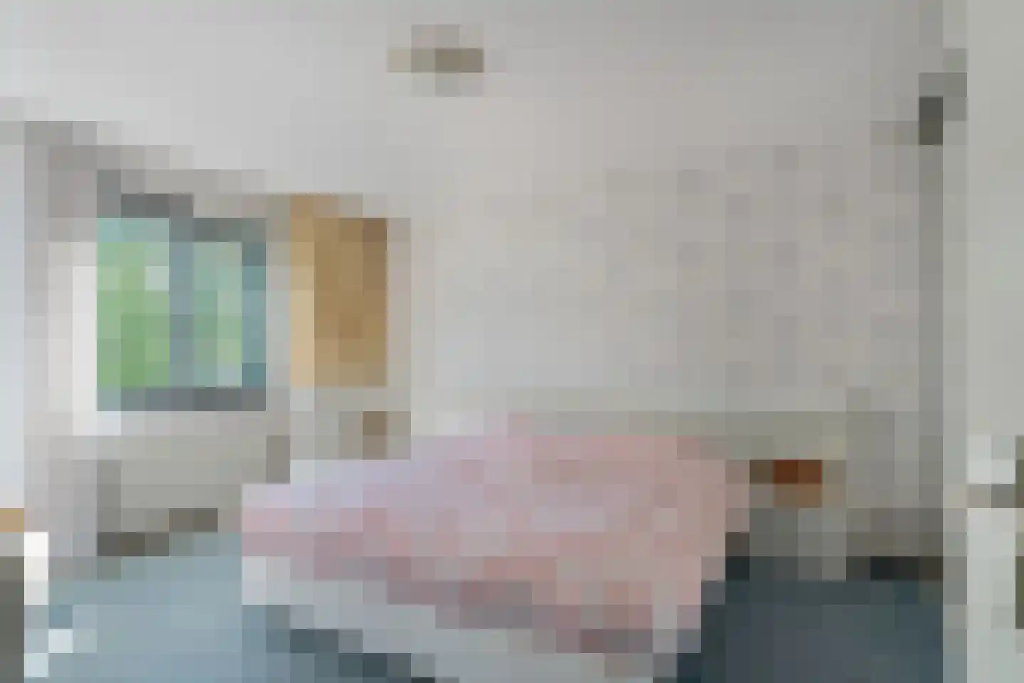 Miep Gieslaan 15 Pijnacker thumbnail 23
