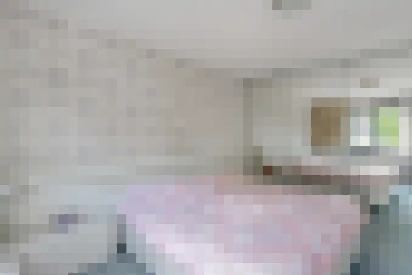 Miep Gieslaan 15 Pijnacker thumbnail 24
