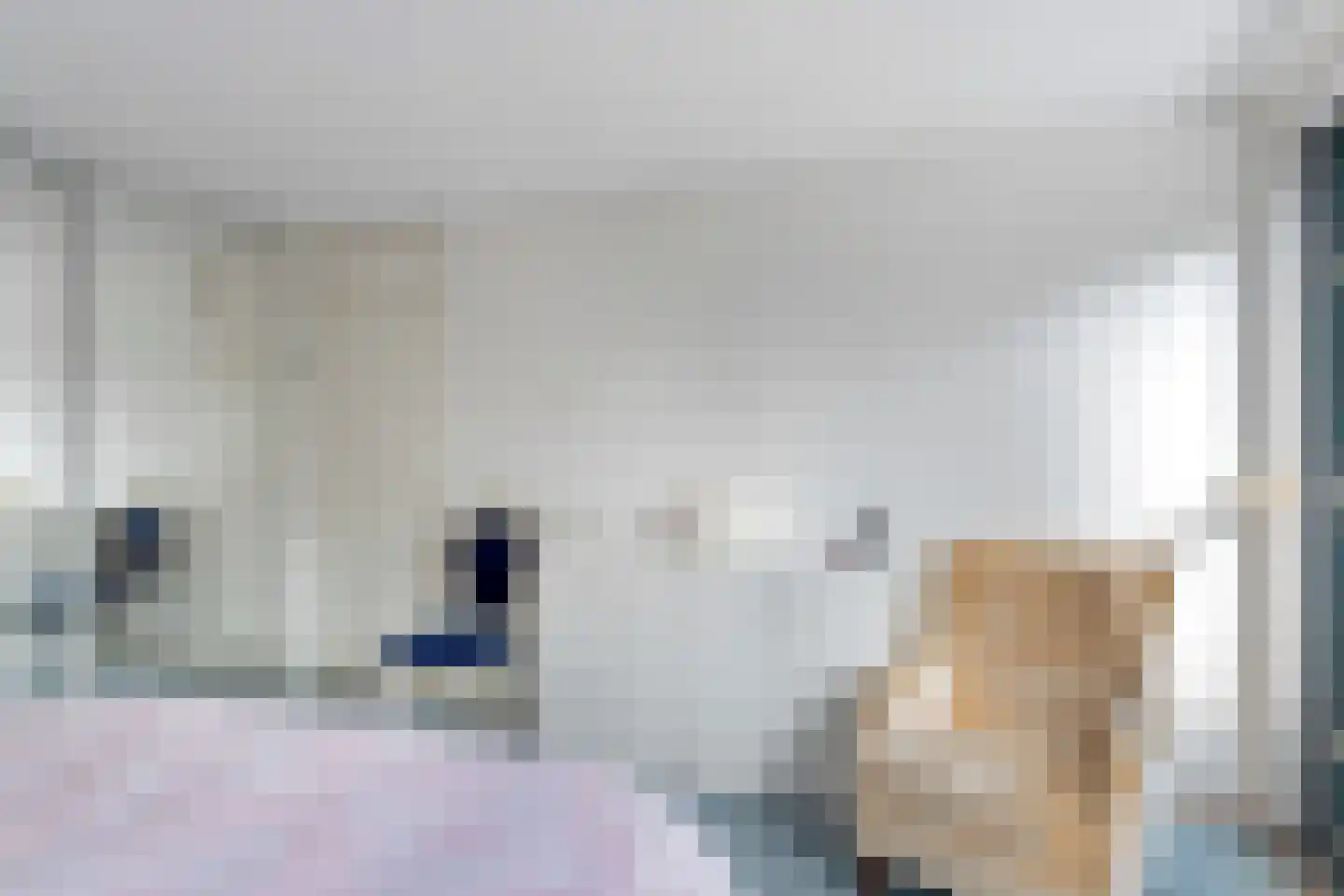Miep Gieslaan 15 Pijnacker thumbnail 25