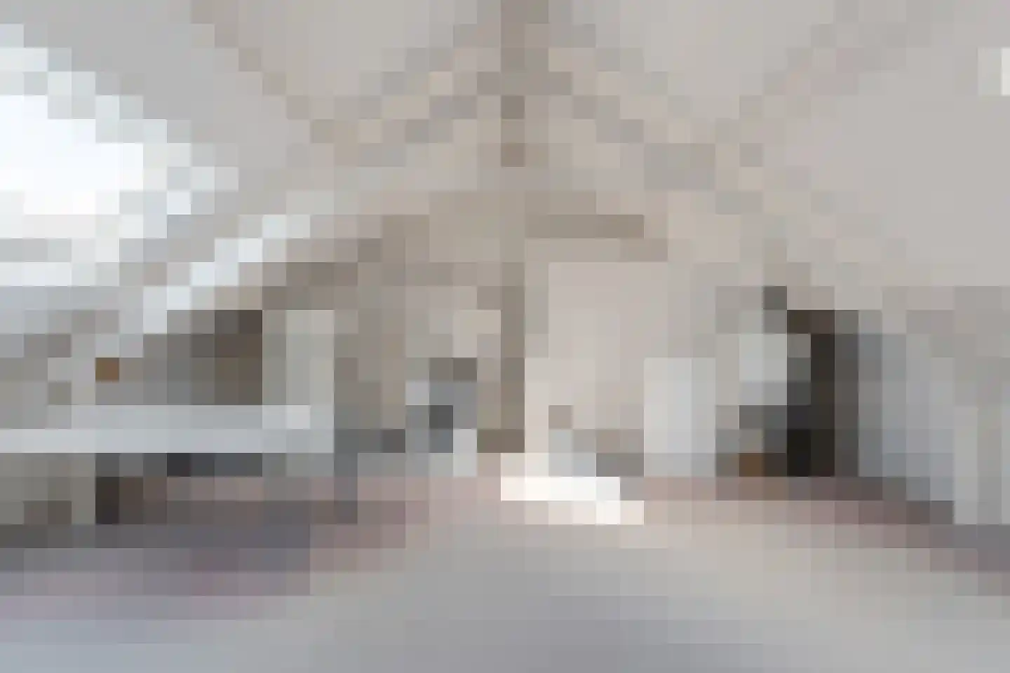 Miep Gieslaan 15 Pijnacker thumbnail 32