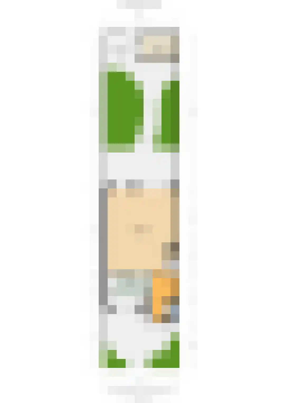 Miep Gieslaan 15 Pijnacker thumbnail 37