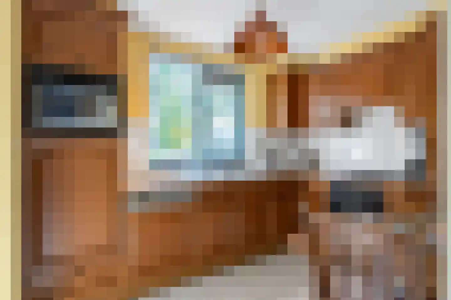 Miep Gieslaan 15 Pijnacker thumbnail 8