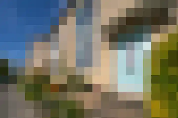 Miep Giesstraat 15 Montfoort thumbnail 4