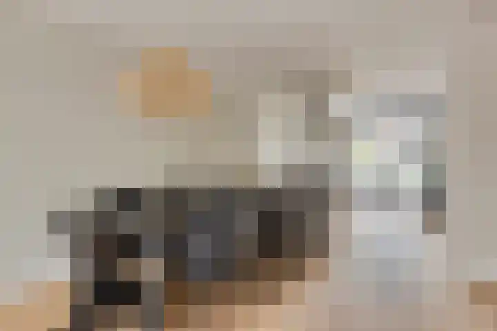 Mierberg 5 Roosendaal thumbnail 16