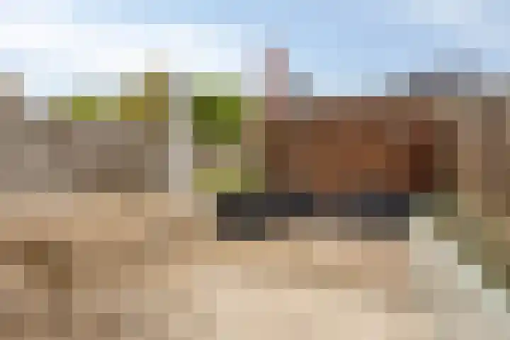Mierberg 5 Roosendaal thumbnail 36