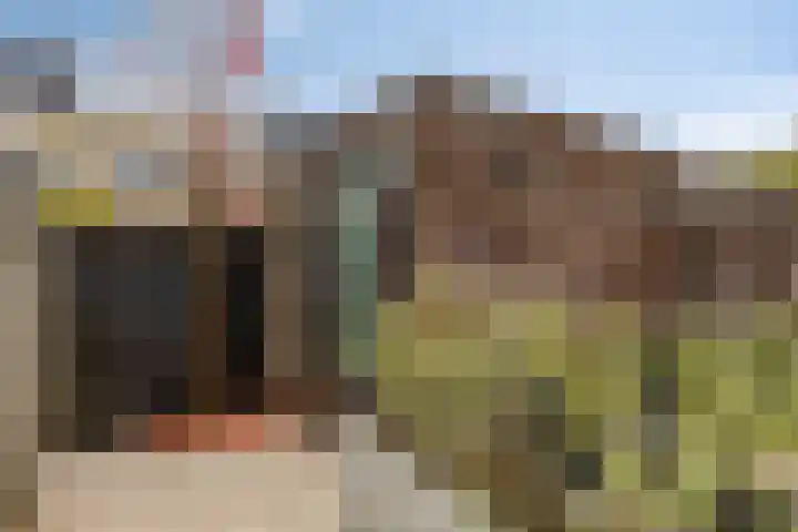 Mierberg 5 Roosendaal thumbnail 39
