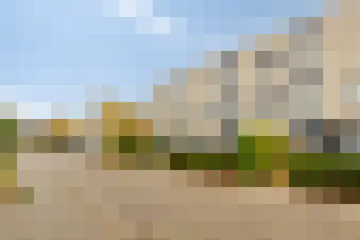 Mierberg 5 Roosendaal thumbnail 45