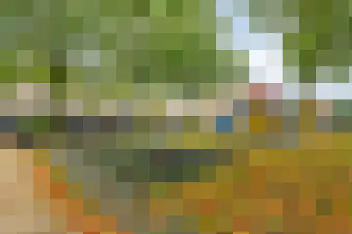 Mierberg 5 Roosendaal thumbnail 47