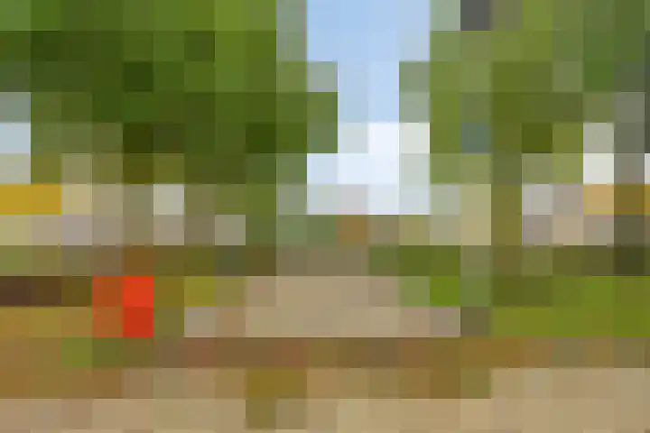 Mierberg 5 Roosendaal thumbnail 49