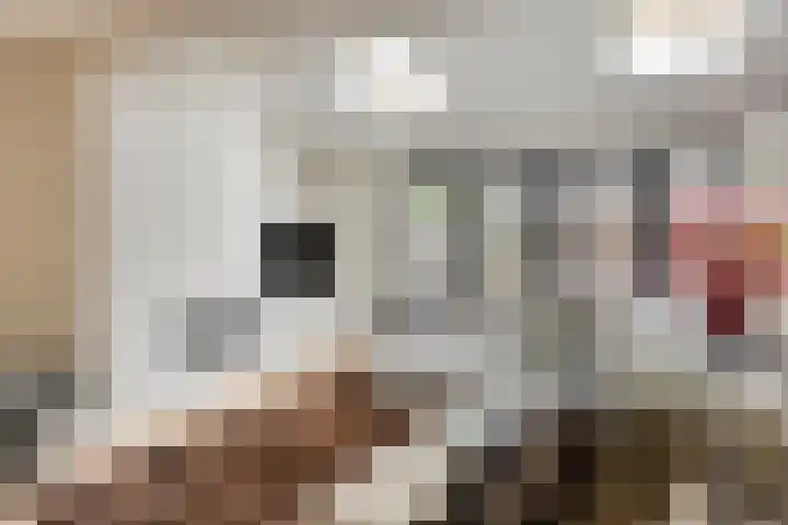 Mierberg 5 Roosendaal thumbnail 9