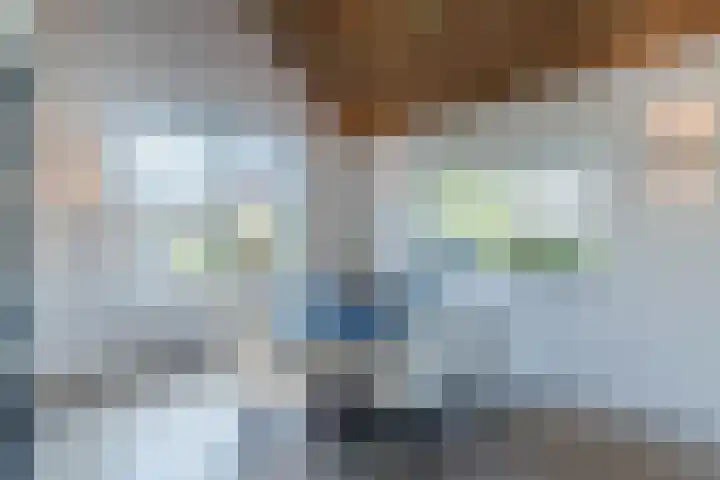 Mierdseweg 31 Reusel thumbnail 10