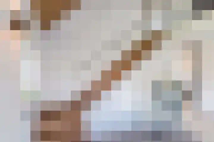 Mierdseweg 31 Reusel thumbnail 13