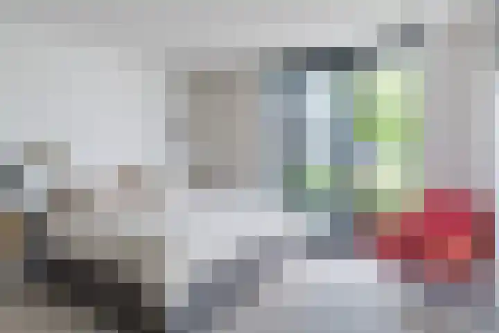 Mierdseweg 31 Reusel thumbnail 19