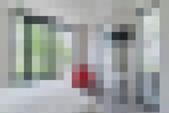 Mierdseweg 31 Reusel thumbnail 20