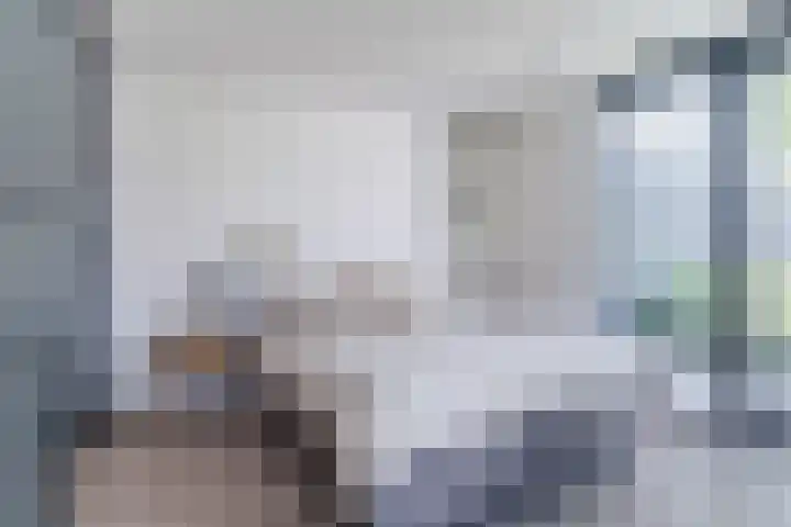 Mierdseweg 31 Reusel thumbnail 22