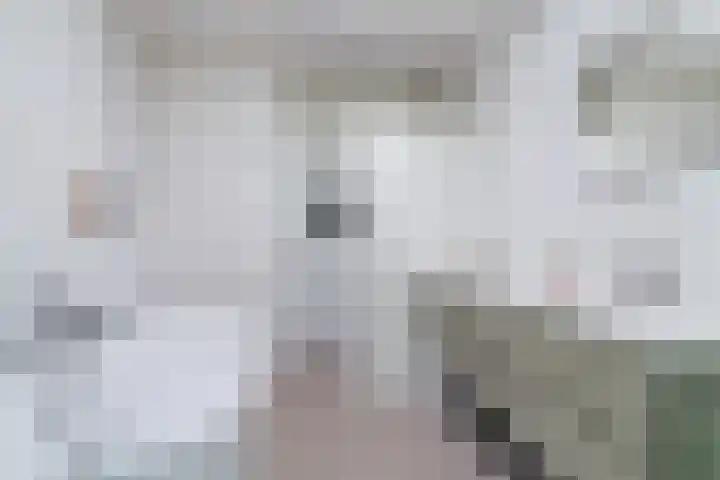 Mierdseweg 31 Reusel thumbnail 25