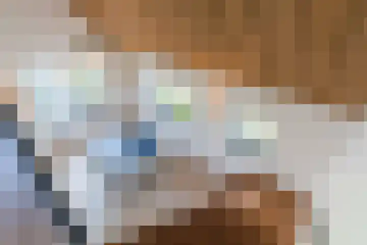 Mierdseweg 31 Reusel thumbnail 30