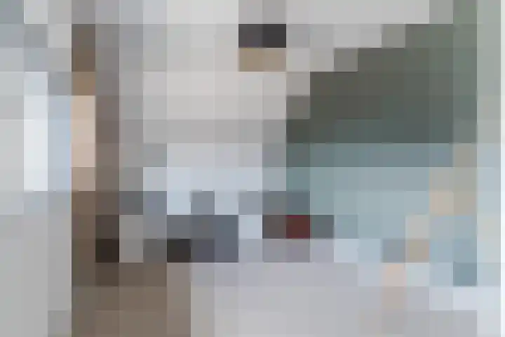 Mierdseweg 31 Reusel thumbnail 34