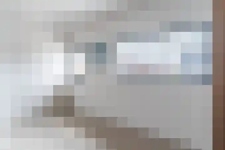 Mierdseweg 31 Reusel thumbnail 36