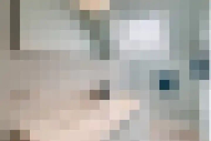 Mierdseweg 31 Reusel thumbnail 38