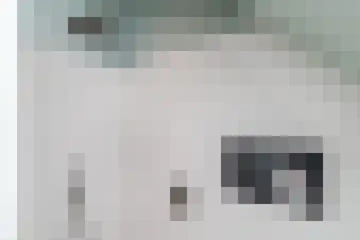 Mierdseweg 31 Reusel thumbnail 39
