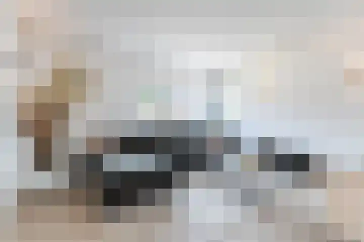 Mierdseweg 31 Reusel thumbnail 4