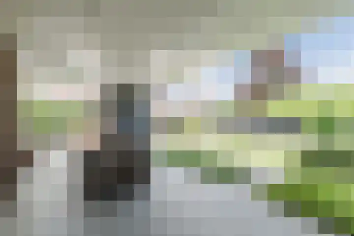 Mierdseweg 31 Reusel thumbnail 41