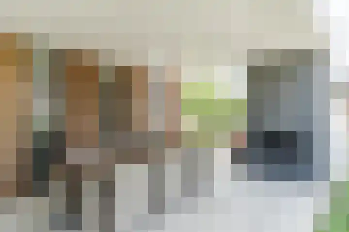 Mierdseweg 31 Reusel thumbnail 42
