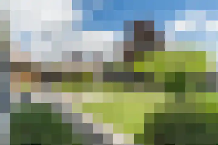 Mierdseweg 31 Reusel thumbnail 43
