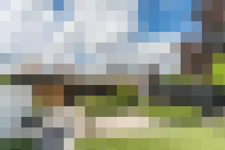 Mierdseweg 31 Reusel thumbnail 44