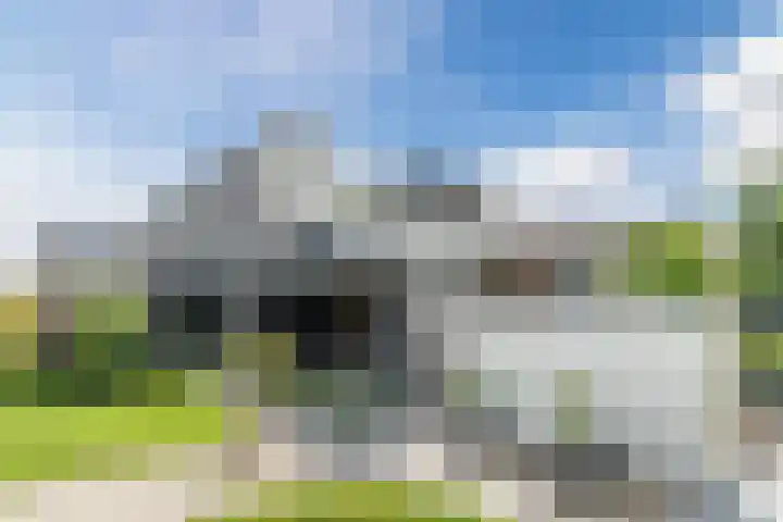 Mierdseweg 31 Reusel thumbnail 45
