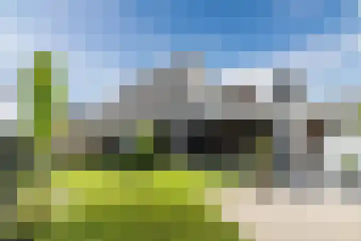 Mierdseweg 31 Reusel thumbnail 46