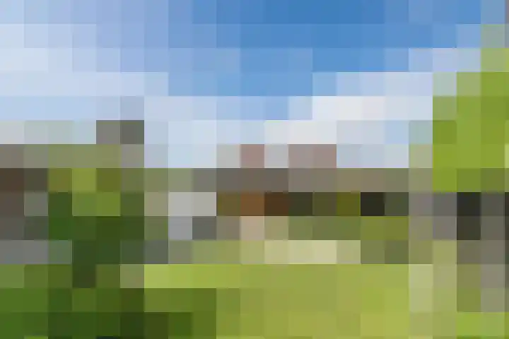 Mierdseweg 31 Reusel thumbnail 47
