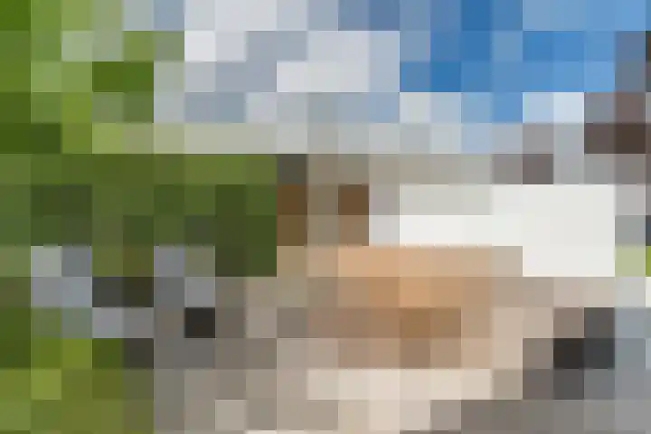 Mierdseweg 31 Reusel thumbnail 48