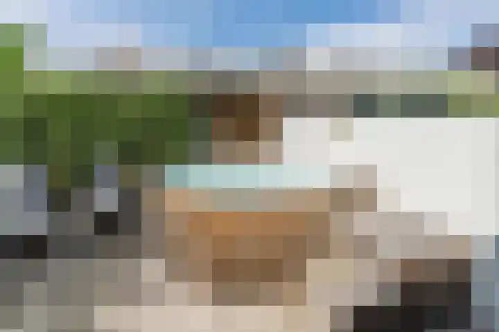 Mierdseweg 31 Reusel thumbnail 49