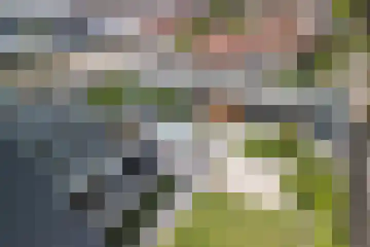 Mierdseweg 31 Reusel thumbnail 51