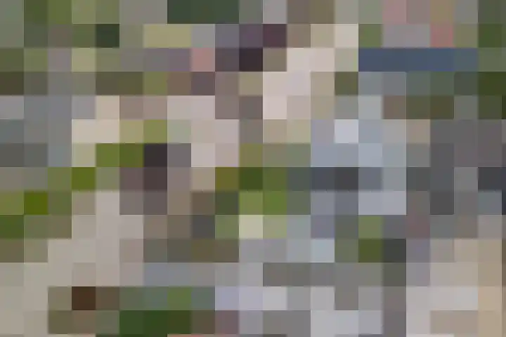 Mierdseweg 31 Reusel thumbnail 52