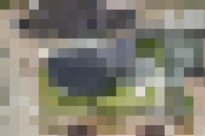 Mierdseweg 31 Reusel thumbnail 53