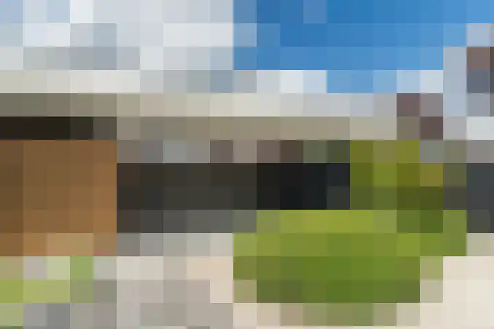 Mierdseweg 31 Reusel thumbnail 54