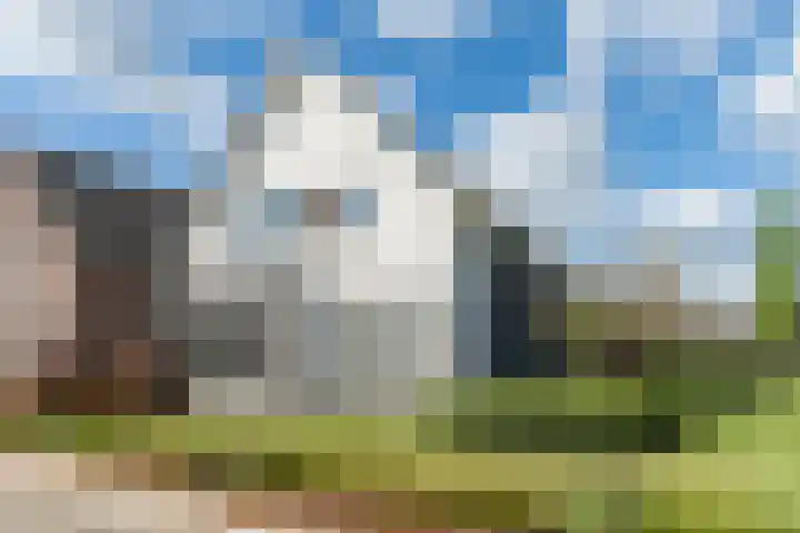Mierdseweg 31 Reusel thumbnail 59