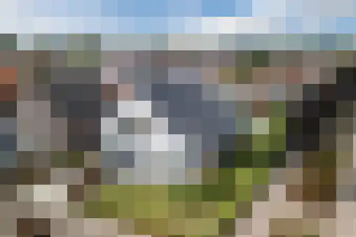Mierdseweg 31 Reusel thumbnail 61