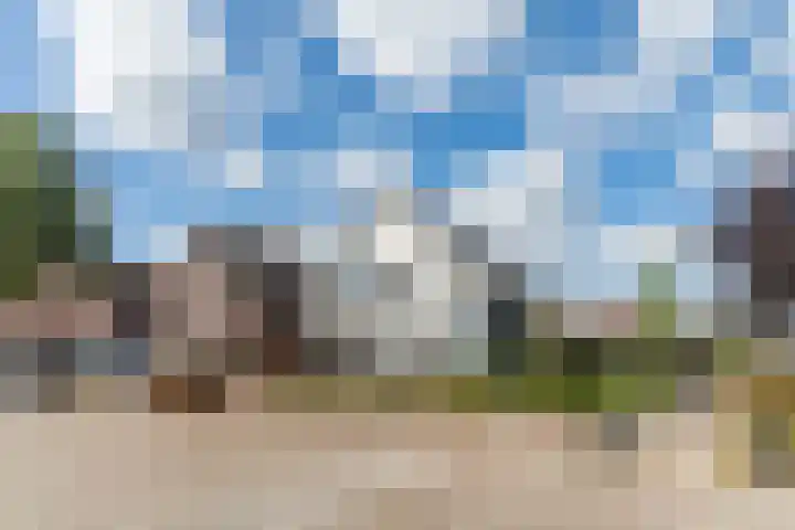 Mierdseweg 31 Reusel thumbnail 64