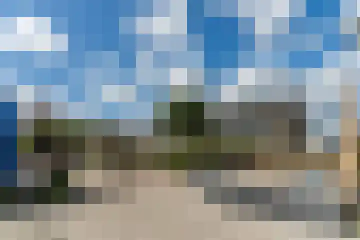 Mierdseweg 31 Reusel thumbnail 66