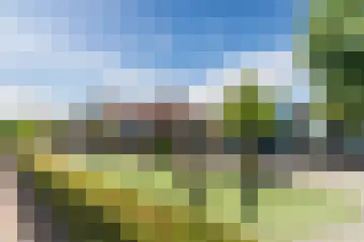 Mierdseweg 31 Reusel thumbnail 67