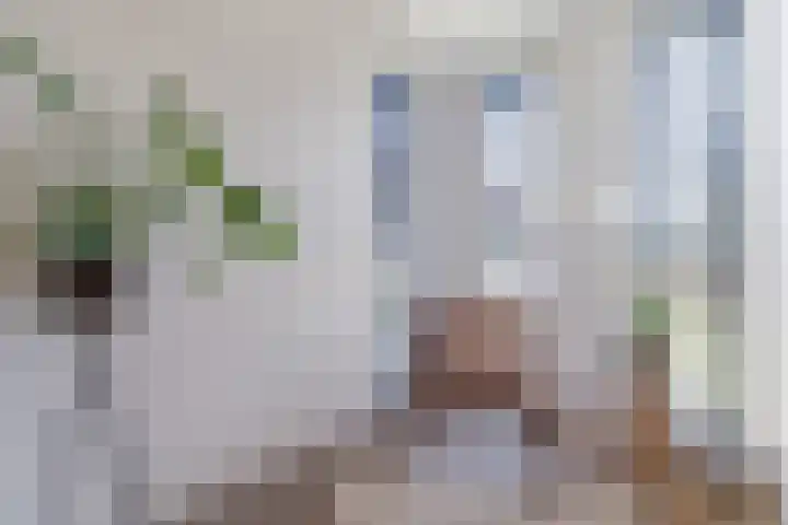 Mierdseweg 31 Reusel thumbnail 7