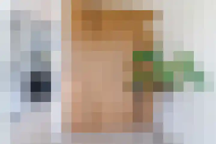 Mierdseweg 31 Reusel thumbnail 8
