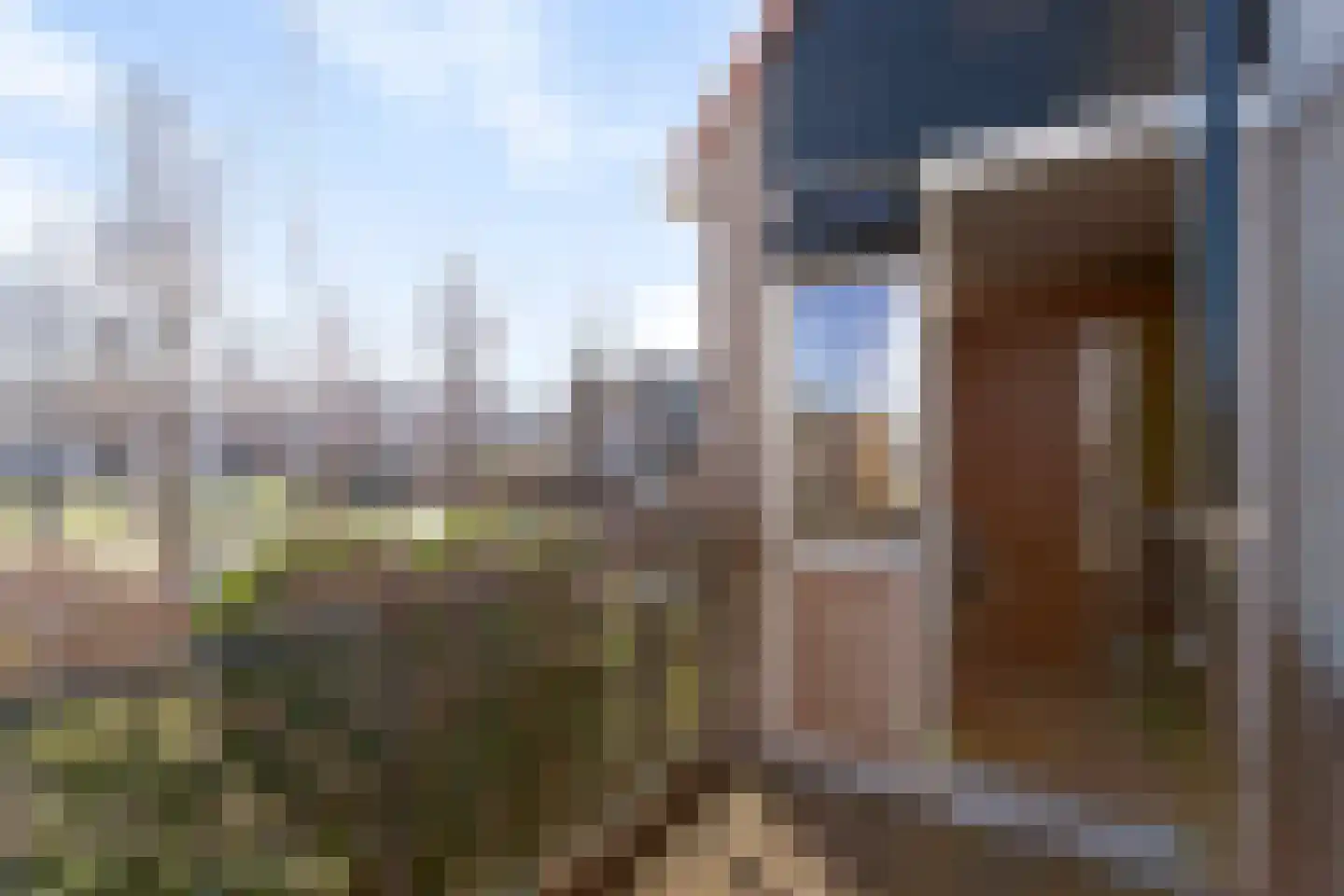 Mieriksveld 18 Schiedam thumbnail 24
